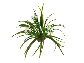 Labeo - D&eacute;coration Corolle Fleurie pour Terrarium