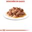 Royal Canin - Sachets Instinctive en Sauce pour Chat - 12x85g Indicateur image numéro 4