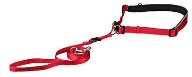 Trixie - Ceinture Ventrale avec Laisse pour Chien - Rouge