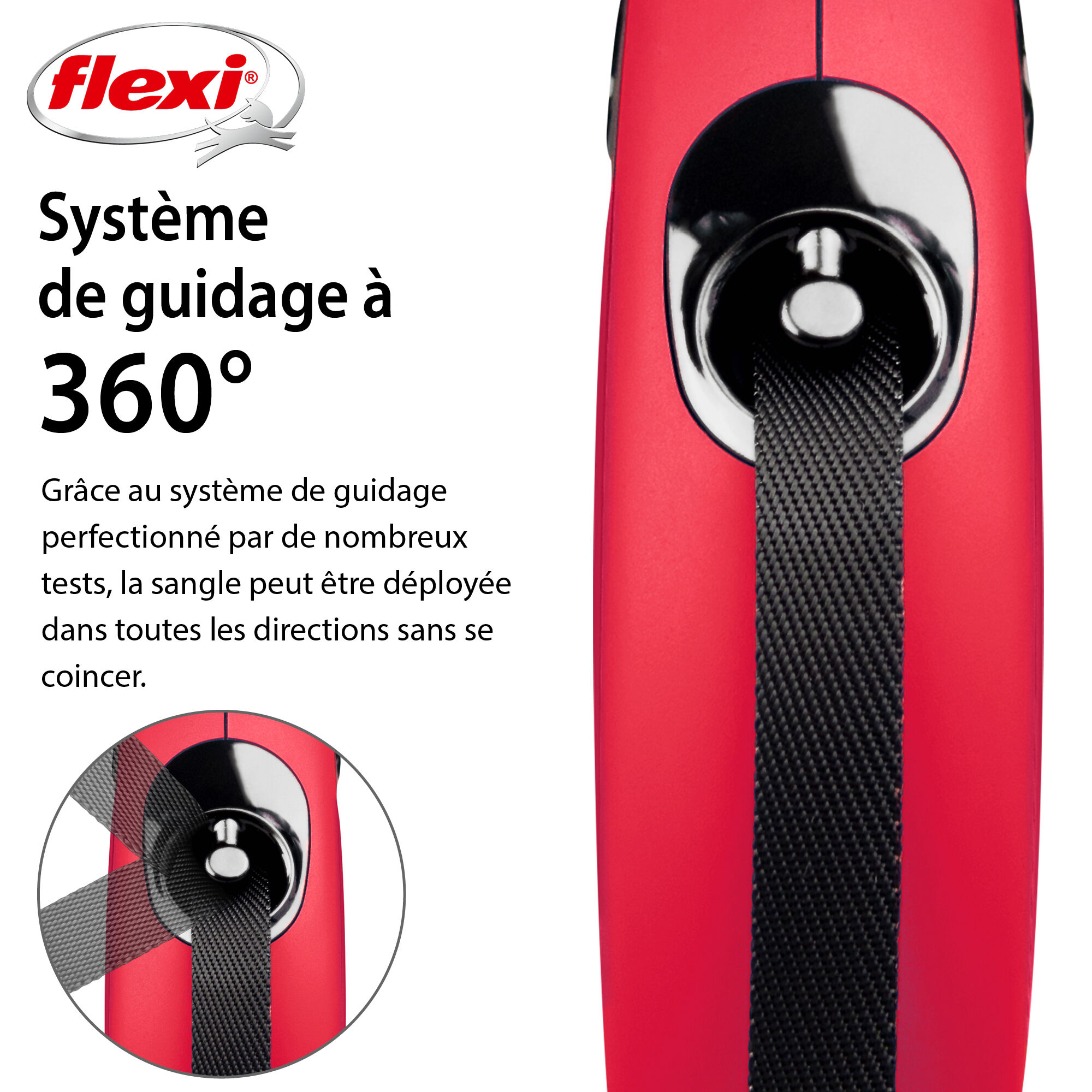 Flexi - Laisse &agrave; Enrouleur Classic Sangle Rouge pour Chiens - M (5m) Image num&eacute;ro 4