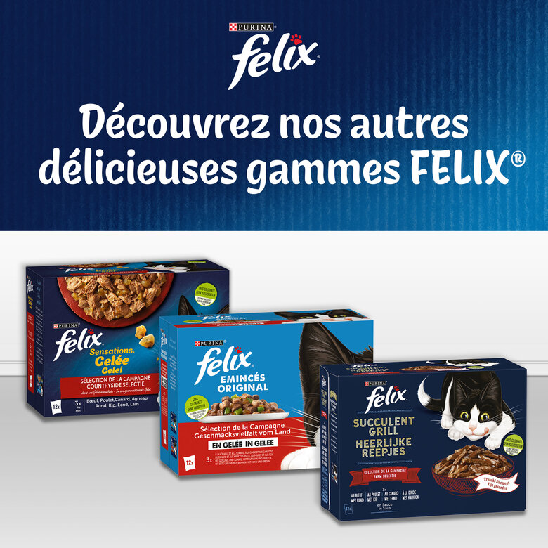 FELIX - Sachets fraîcheurs Tendres Effilés en Gelée Mixte pour Chats - 24x85g Image numéro 5 FELIX - Sachets fraîcheurs Tendres Effilés en Gelée Mixte pour Chats - 24x85g Image numéro 5