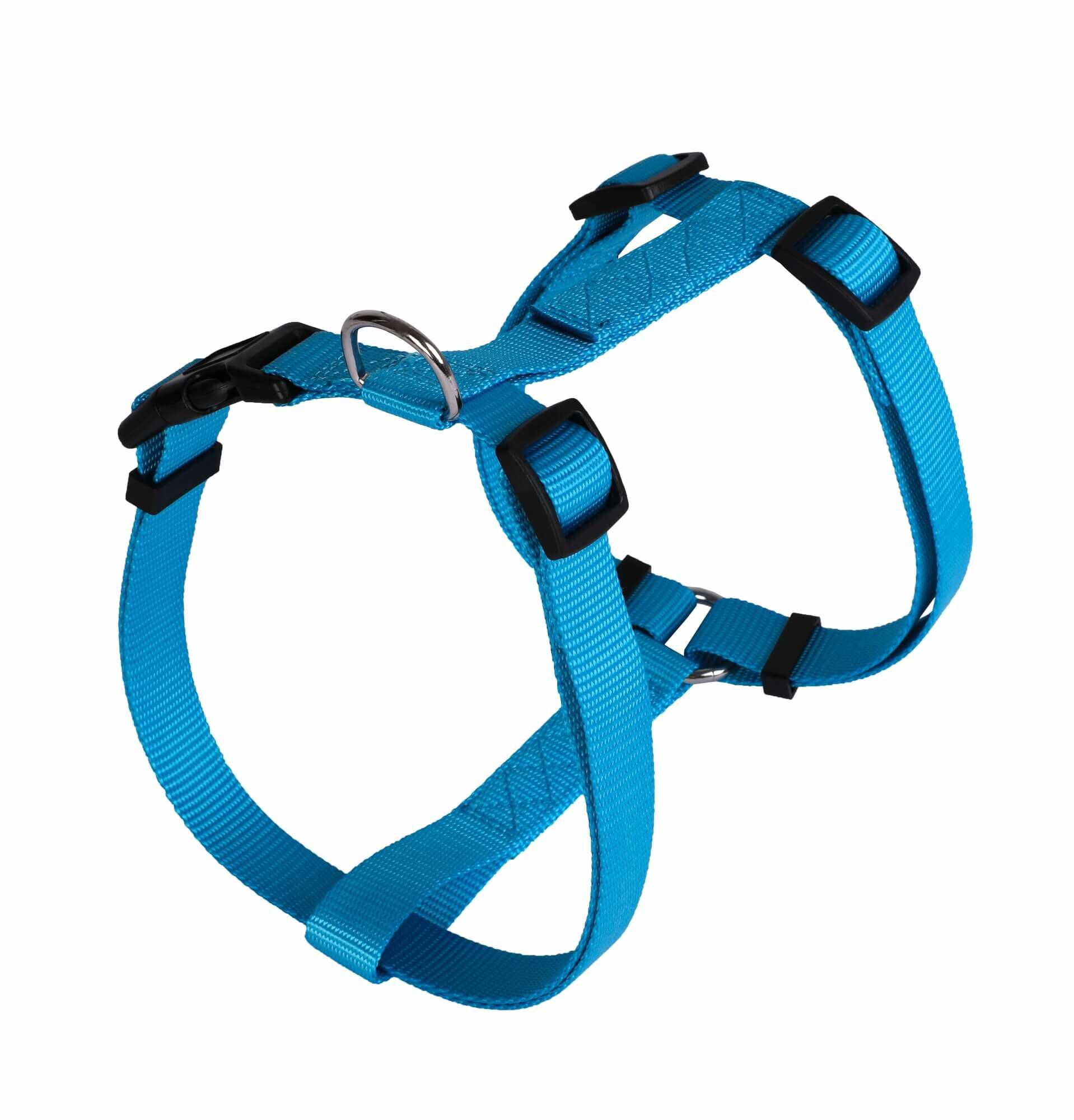 Animalis - Harnais Basic Bleu pour Chien - T3 25mm et 63/97cm Image num&eacute;ro 1
