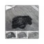 Croci - Tapis Hygénique Super Nappy Charbon Actif pour Chiots - 57x54cm Indicateur image numéro 3