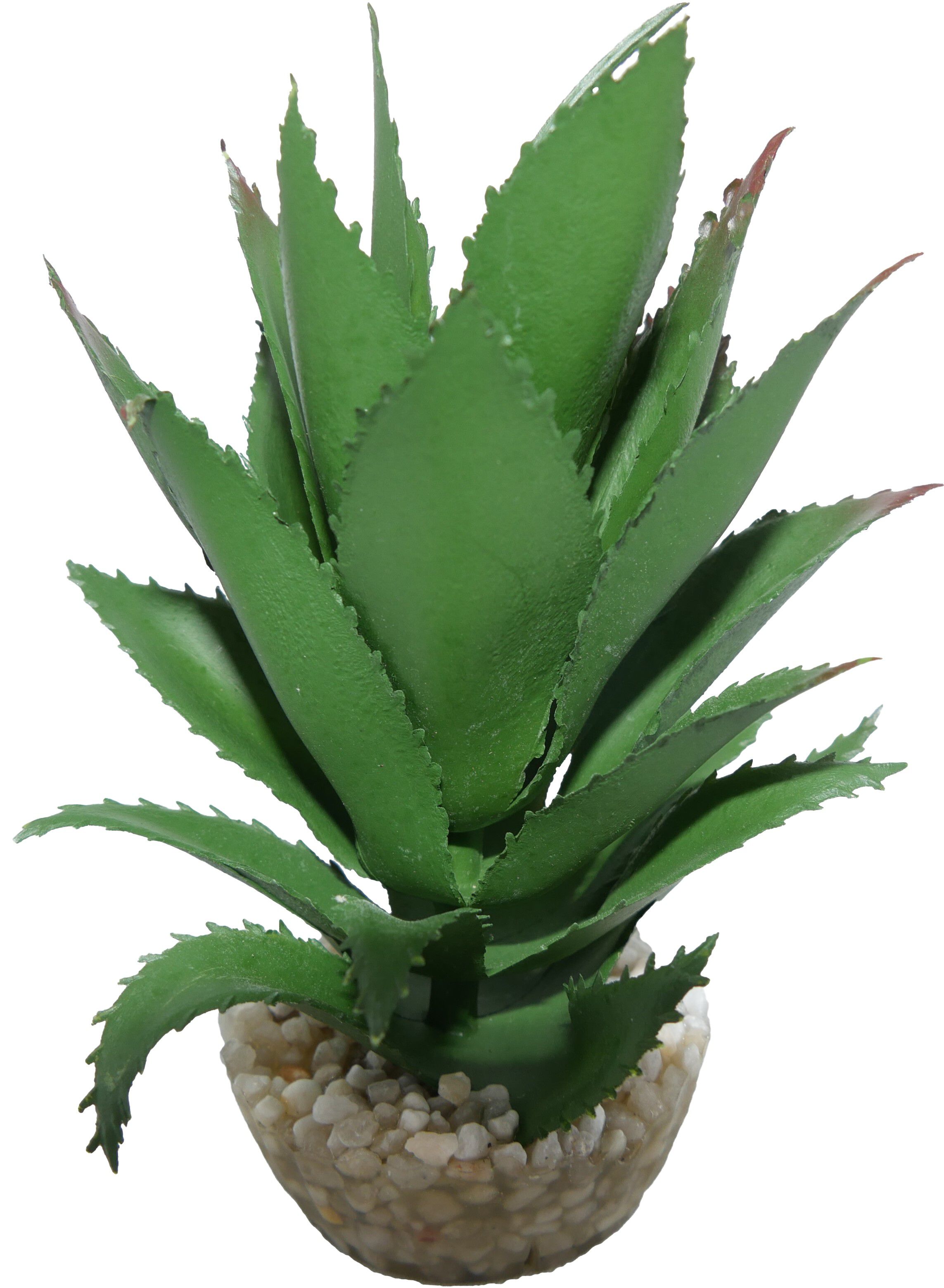 Labeo - D&eacute;coration Ananas pour Terrarium Image num&eacute;ro 1