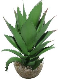 Labeo - D&eacute;coration Ananas pour Terrarium