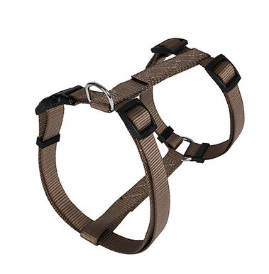 Animalis - Harnais Basic T2 20mm et 52/80cm pour Chien - Taupe