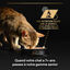 Pro Plan - Pâtée Delicate à la Dinde pour Chat - 85g Indicateur image numéro 7