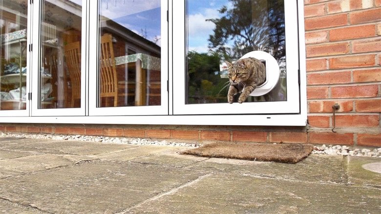 Sure PetCare - Chatière SureFlap à puce Électronique DualScan pour Chat - Blanc Image numéro 4 Sure PetCare - Chatière SureFlap à puce Électronique DualScan pour Chat - Blanc Image numéro 4