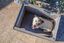 Ferplast - Niche Argo 60 pour Chiens - 54x69x52 cm Indicateur image numéro 4