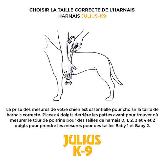 Julius-K9 - Harnais Power Mini-mini de 40-53cm pour Chien - Noir image number null