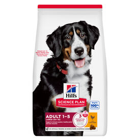 Hill's Science Plan - Adult Croquettes Pour Grand Chien Au Poulet  - 18kg