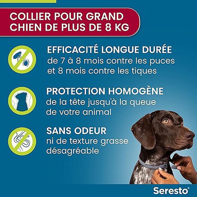 Elanco - Collier Seresto Antiparasitaires pour Grand Chien Image numéro 2 Elanco - Collier Seresto Antiparasitaires pour Grand Chien Image numéro 2