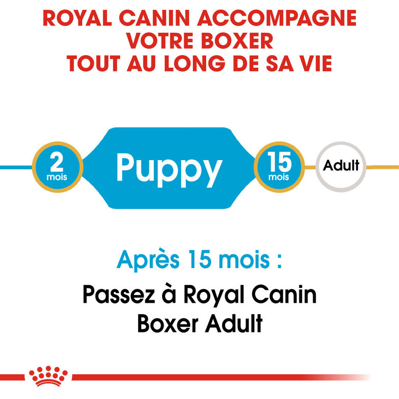 Royal Canin - Croquettes Boxer Junior pour Chiens - 3Kg image number null