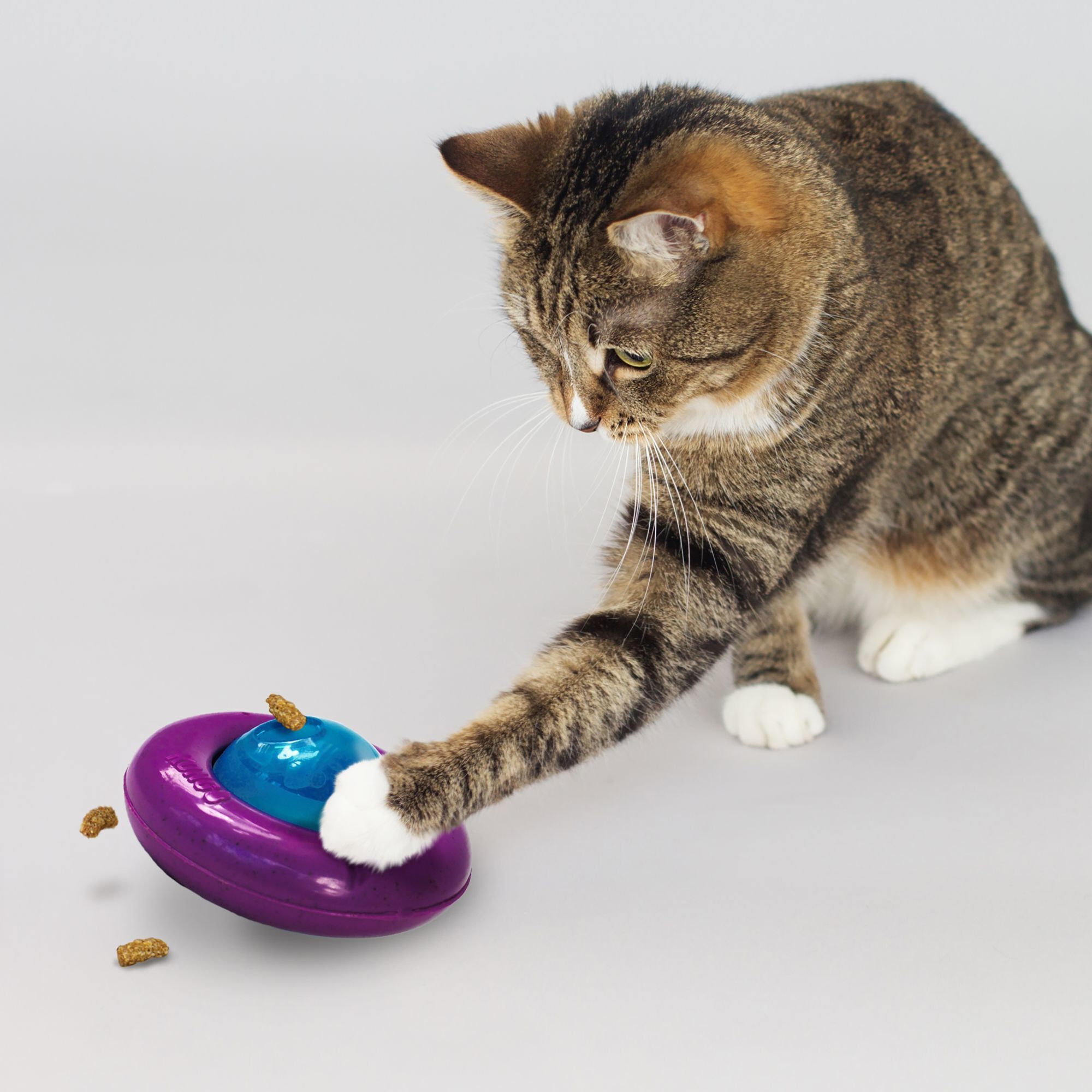 KONG - Jouet Distributeur Friandises Infused Gyro pour Chats Image num&eacute;ro 4