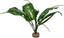 Labeo - Plante Verte Assortie Décorative pour Terrarium Indicateur image numéro 3