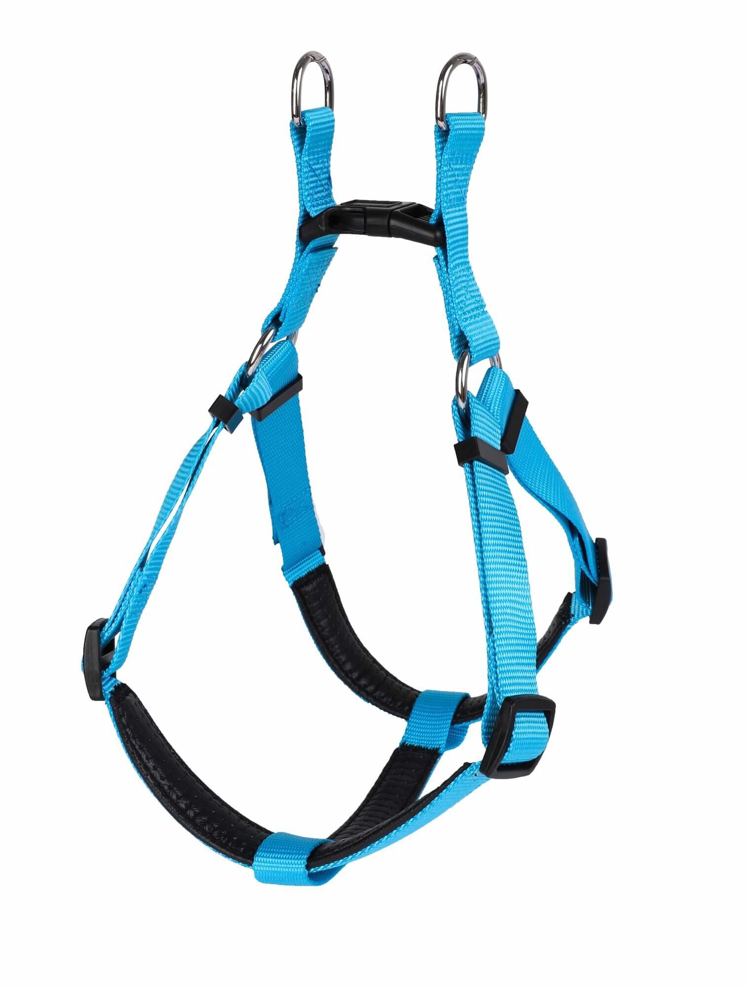 Animalis - Harnais Basic Confort Bleu pour Chien - T3 25mm et 75/96cm Image num&eacute;ro 2