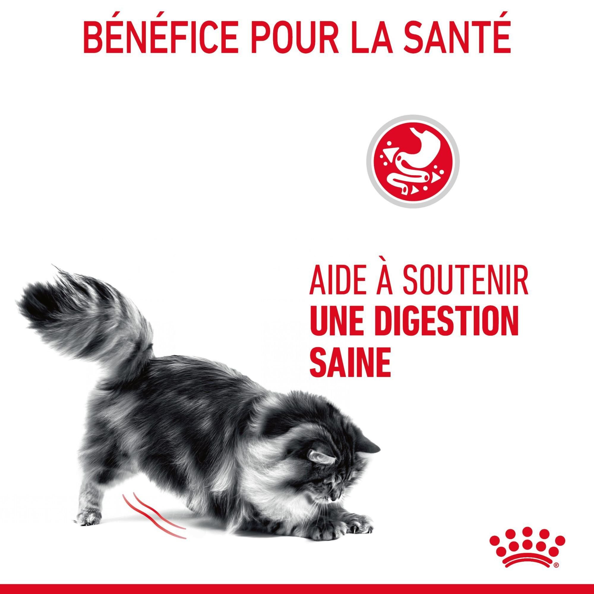 ROYAL CANIN - SACHET FRAICHEUR DIGESTIVE CARE EN MOUSSE CHAT ADULTE - 12x85g Image num&eacute;ro 3
