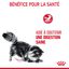 ROYAL CANIN - SACHET FRAICHEUR DIGESTIVE CARE EN MOUSSE CHAT ADULTE - 12x85g Indicateur image numéro 3