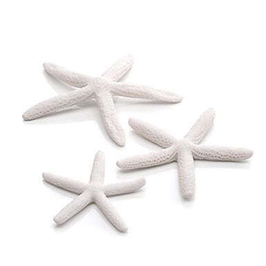 Oase - Lot de Décor Étoiles de Mer Blanc pour Aquarium BiOrb - x3