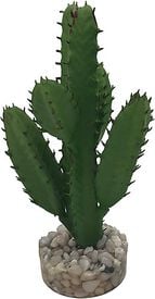 Labeo - Succulente moyen modèle Plante Artificielle Aquarium et Terrarium
