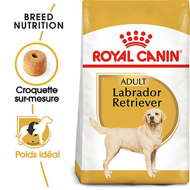 Royal Canin - Croquettes Labrador Adult pour Chiens de plus de 15 Mois - 3Kg