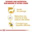 Royal Canin - Croquettes Maltese Adult Bichon Maltais pour Chiens - 1,5Kg Indicateur image numéro 4
