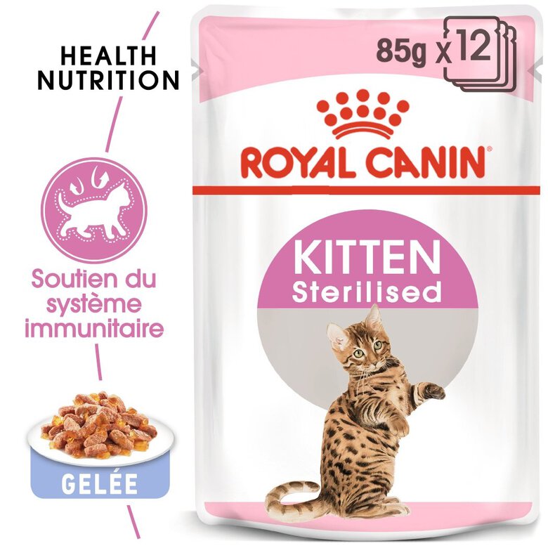 Royal Canin - Sachets Kitten Sterilised en Gelée pour Chaton - 12x85g Image numéro 2 Royal Canin - Sachets Kitten Sterilised en Gelée pour Chaton - 12x85g Image numéro 2