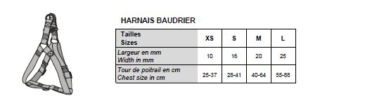 Bobby - Harnais Baudrier Pretty Vert L pour Chiens - L 88cm Image num&eacute;ro 2