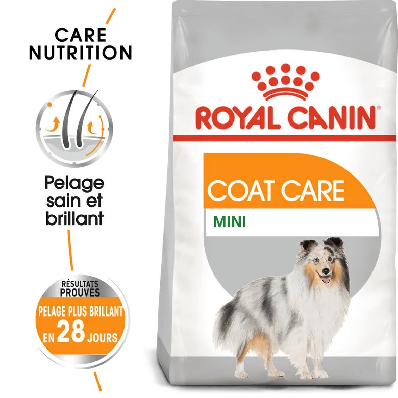 Royal Canin - Croquettes MINI COAT CARE PETIT CHIEN - 3KG Image numéro 1 Royal Canin - Croquettes MINI COAT CARE PETIT CHIEN - 3KG Image numéro 1