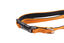 Gotoo - Collier Essentials en Nylon Premium Orange pour Chien - XS Indicateur image numéro 3
