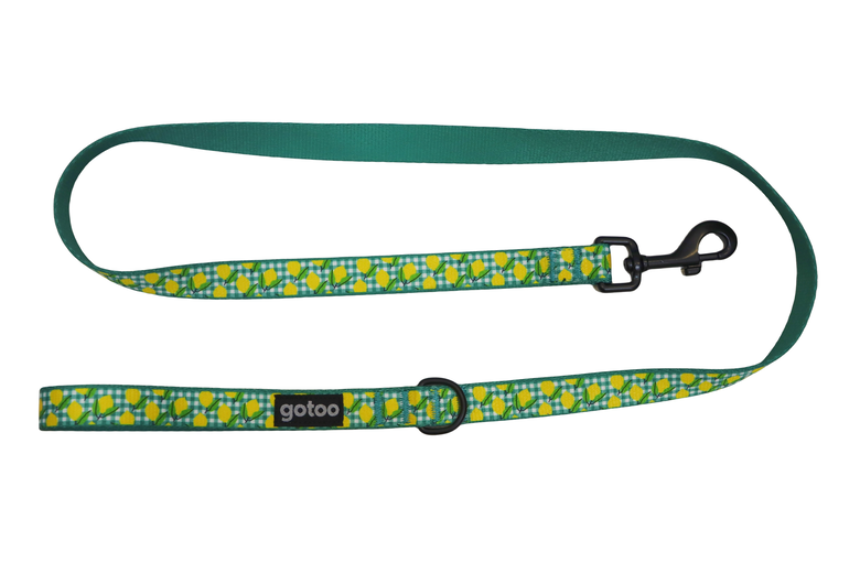 Gotoo - Laisse Vichy Jaune pour Chien Image numéro 1 Gotoo - Laisse Vichy Jaune pour Chien Image numéro 1