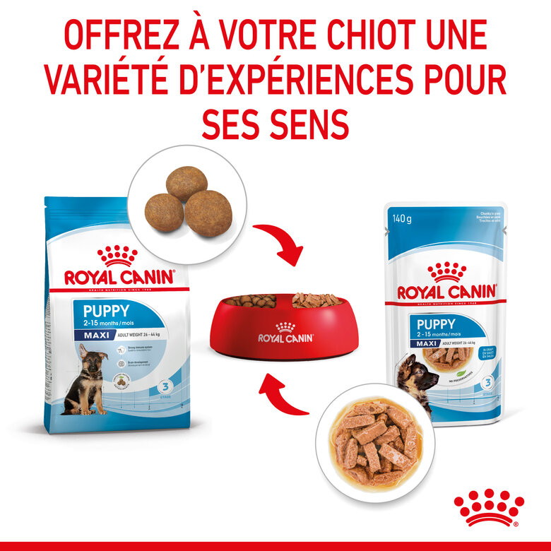 Royal Canin - Sachets Puppy Maxi en Sauce pour Chiot - 10x140g Image numéro 4 Royal Canin - Sachets Puppy Maxi en Sauce pour Chiot - 10x140g Image numéro 4