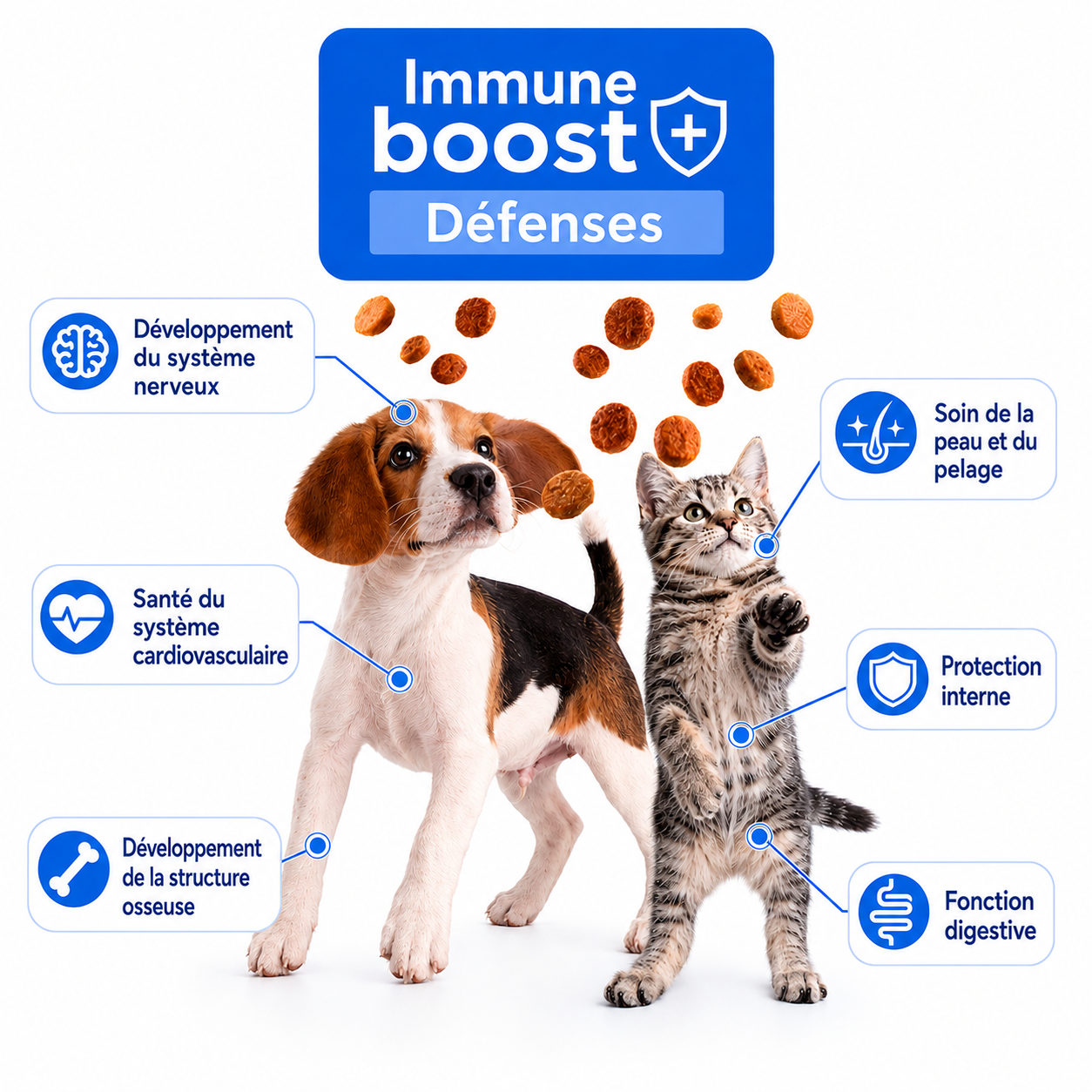 Nath - P&acirc;t&eacute;e Jelly Immune boost+ Poulet pour Chiens - 100g Image num&eacute;ro 2
