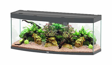Aquatlantis - Aquarium SUBLIME HORIZON 150 Led Anthracite - 363L