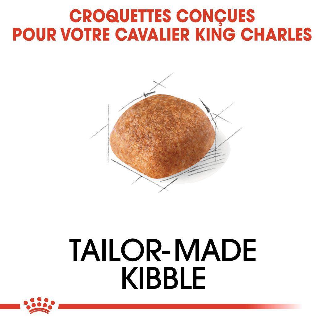 Royal Canin - Croquettes Cavalier King Charles pour Chien Adulte - 3Kg Image num&eacute;ro 4