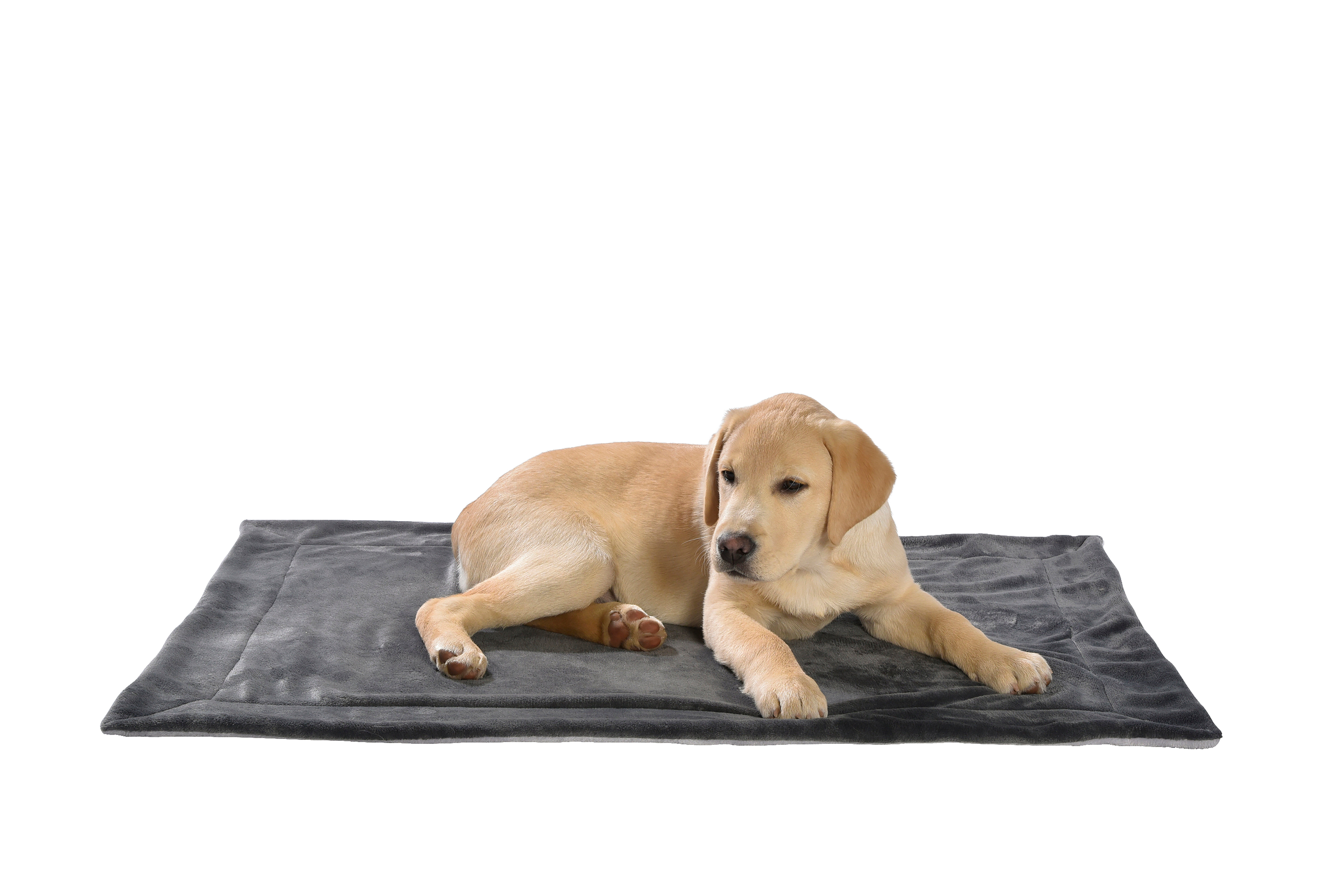 Bobby - Plaid Cosy Gris pour Chats - L Image num&eacute;ro 2