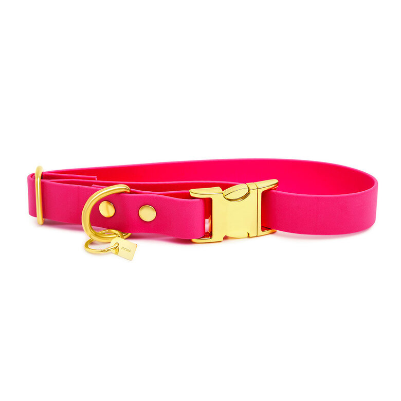 Pop Dog - Collier Glouton Rose pour Chien - S Image numéro 2 Pop Dog - Collier Glouton Rose pour Chien - S Image numéro 2