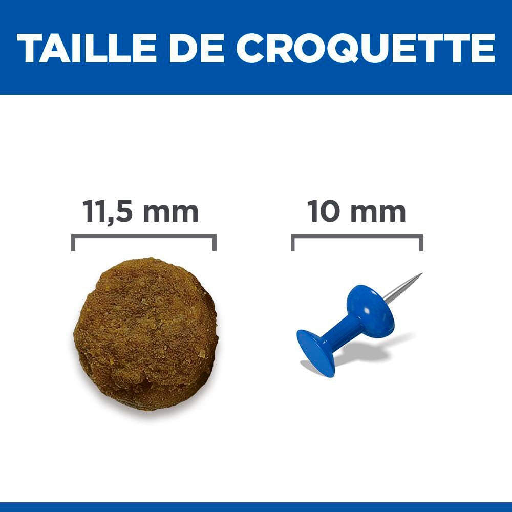 Hill's Science Plan - Adult Croquettes Pour Chien A L'agneau Et Riz  - 12kg Image num&eacute;ro 11