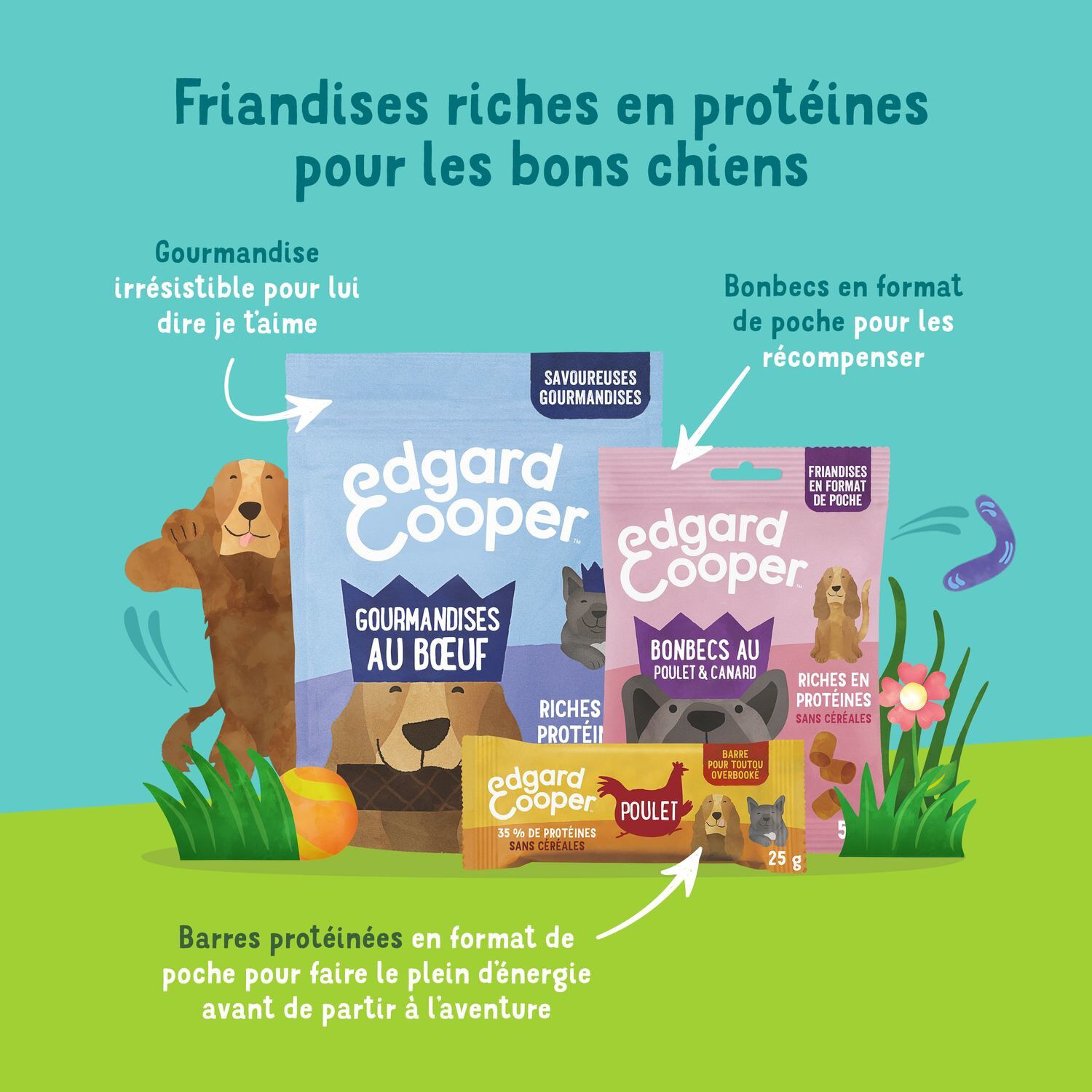 Edgard & Cooper - Fraindises Barre Prot&eacute;in&eacute;e Naturelles Canard et Poulet frais pour Chien - 25g Image num&eacute;ro 7