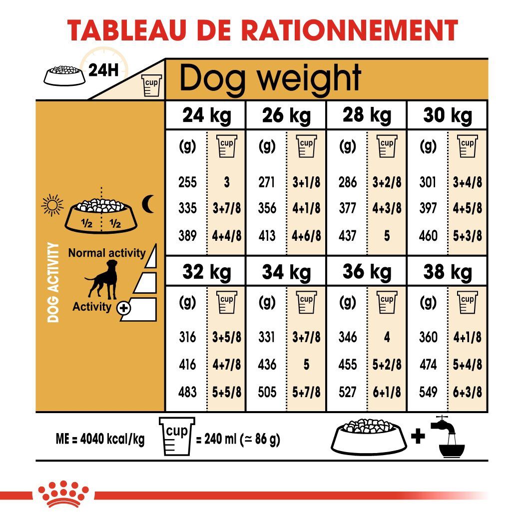 Royal Canin - Croquettes Boxer pour Chien Adulte - 12Kg Image num&eacute;ro 6