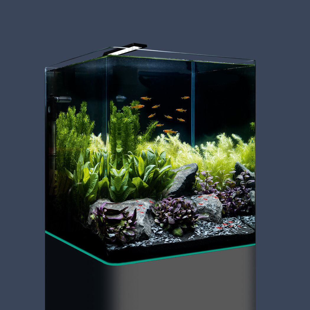 Dennerle - Mini Aquarium Nano Cube Complete - 60L Image num&eacute;ro 2
