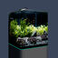 Dennerle - Mini Aquarium Nano Cube Complete - 60L Indicateur image num&eacute;ro 2