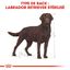 Royal Canin - Croquettes Labrador pour Chien Stérilisé - 12Kg Indicateur image numéro 3