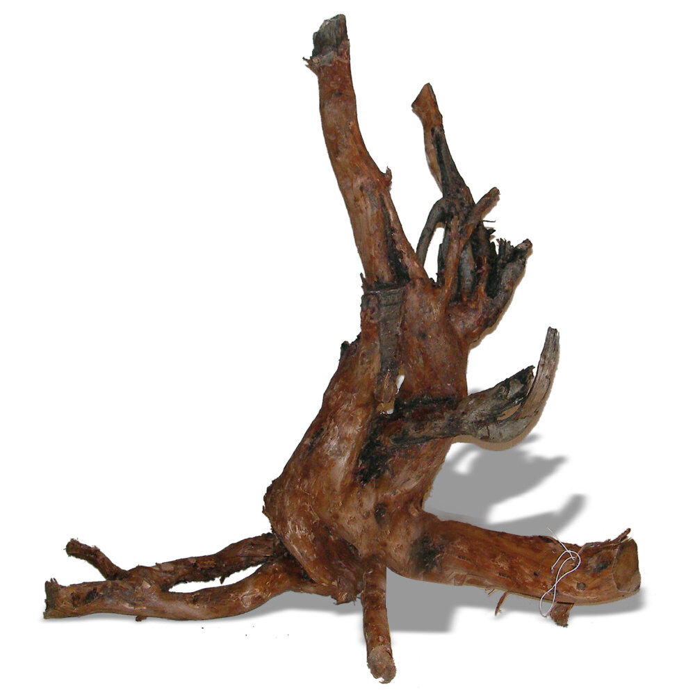 Amtra -  Racine Naturelle Moorwood - L Image num&eacute;ro 1