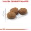 Royal Canin - Croquettes Sterilised 37 pour Chat - 2Kg Indicateur image numéro 5