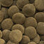 Amtra - Aliment Pro Weekends pour Poissons Tropicaux - 9g Indicateur image numéro 2