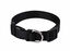 Animalis - Collier Basic Noir pour Chien - 15mm et 25/40cm Indicateur image num&eacute;ro 1
