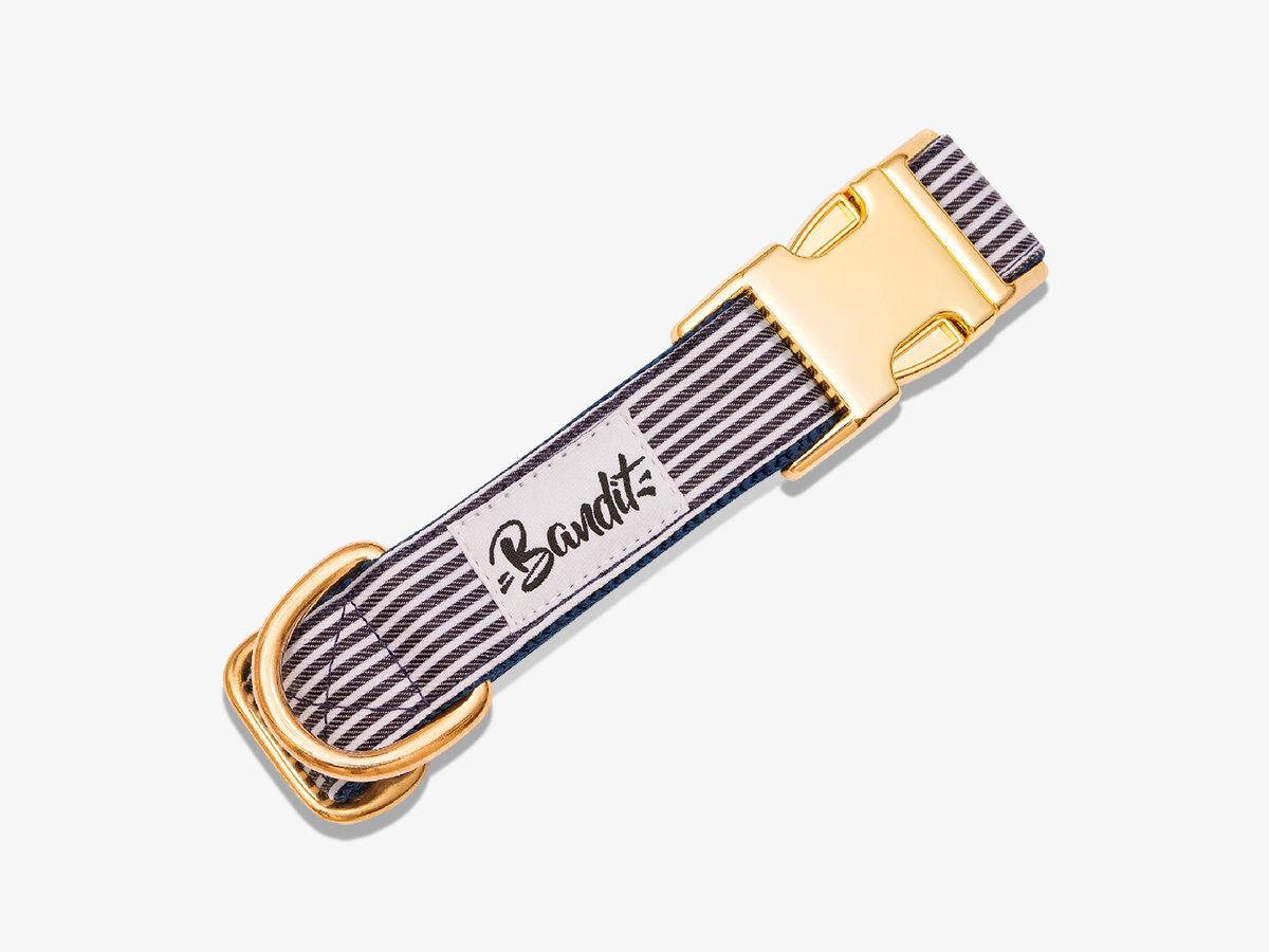 French Bandit - Collier Bandit in the Navy pour Chiens - M Image num&eacute;ro 1