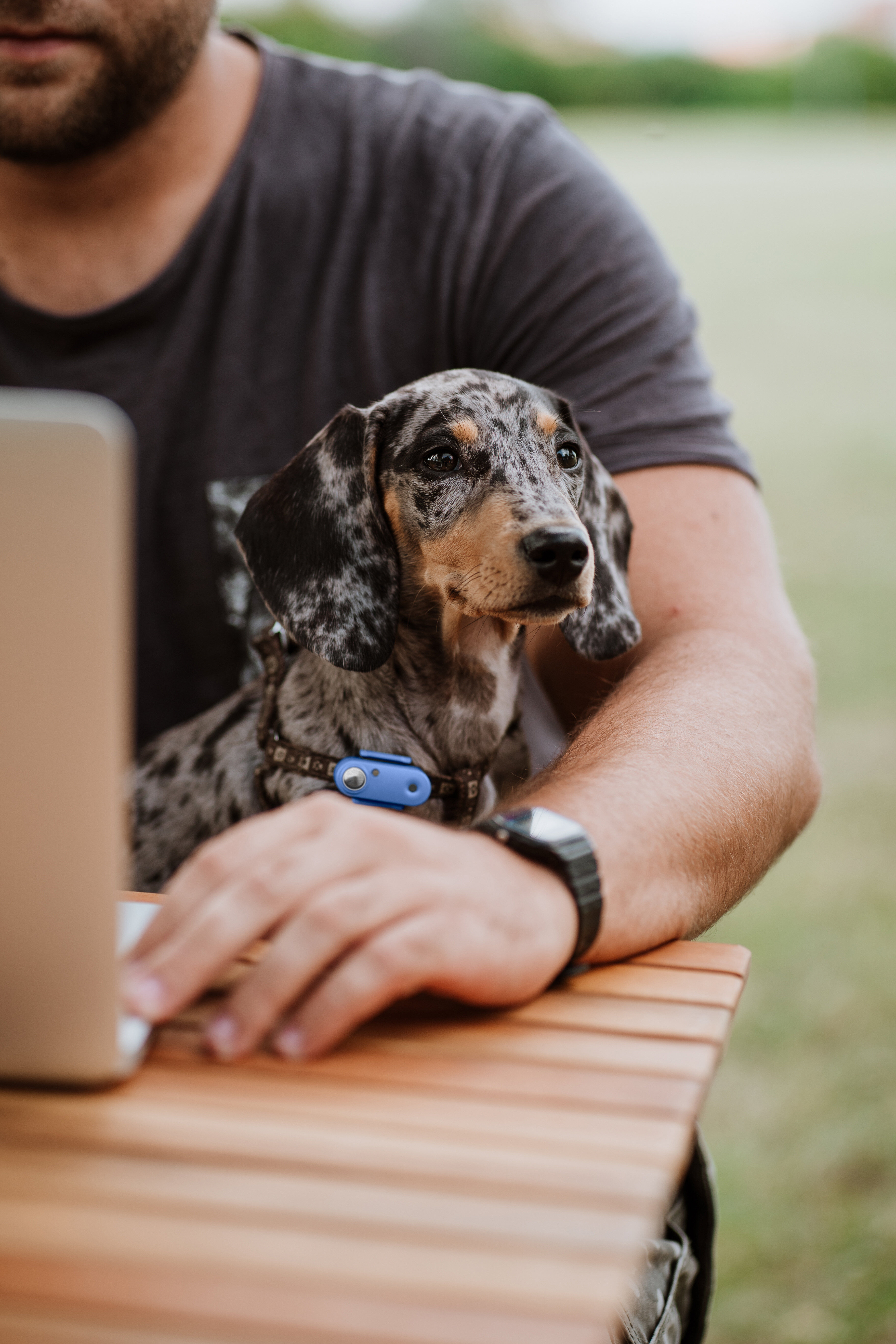 Tickless - R&eacute;pulsif Antiparasitaire Mini Dog Ultrason Rechargeable pour Chiens - Bleu Image num&eacute;ro 4