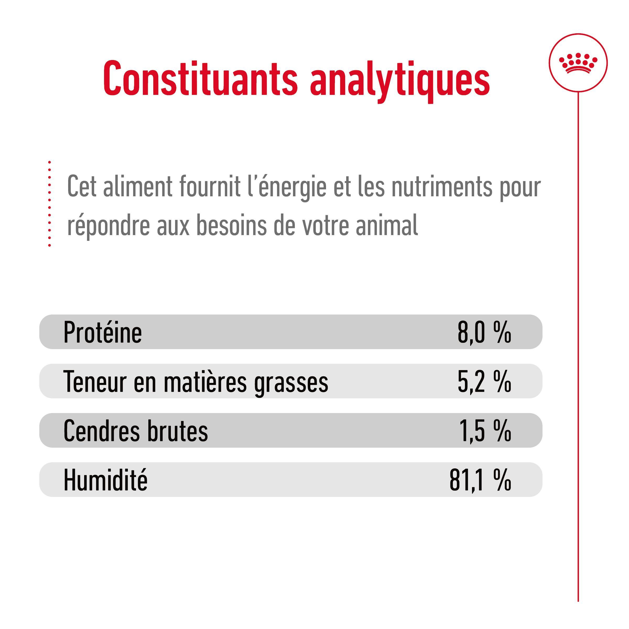 Royal Canin - Sachets Humides en Sauce X-Small Adult - 12x85g Image num&eacute;ro 7